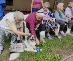 Terápiás kutyát simogatnak a lakók