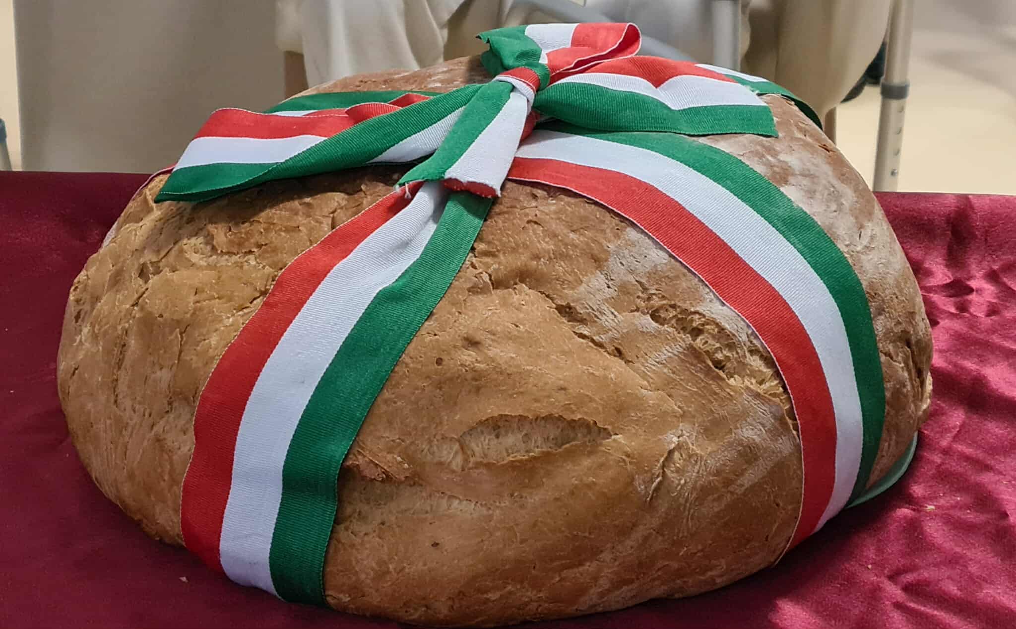 Új kenyér